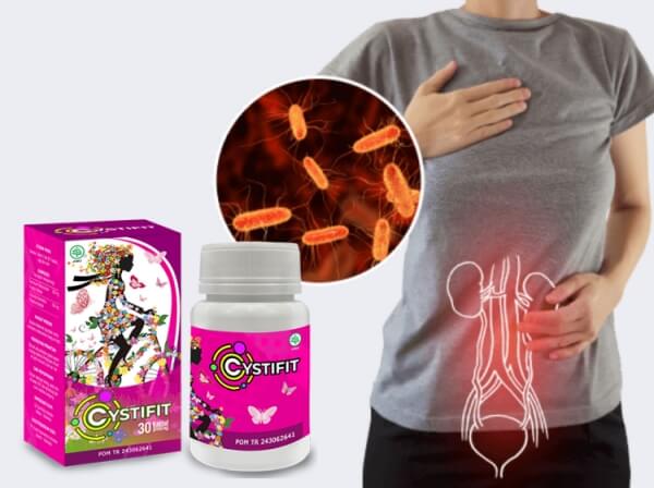 Cystifit Price in Indonesia – Where Is It Sold